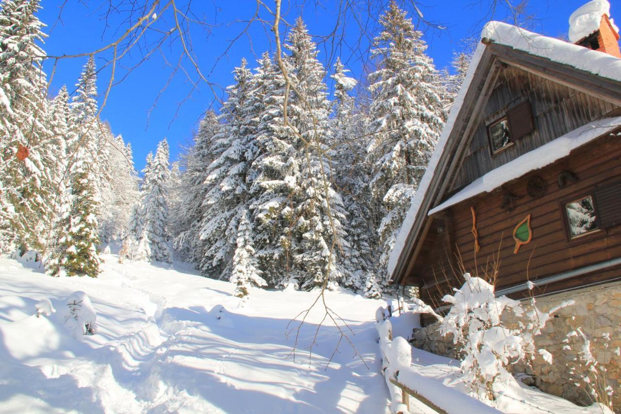 B&B Pod Skalo Kamnik Bagian luar foto