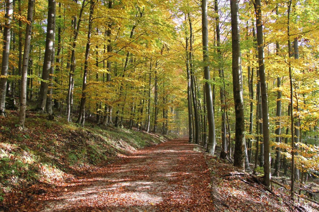 B&B Pod Skalo Kamnik Bagian luar foto